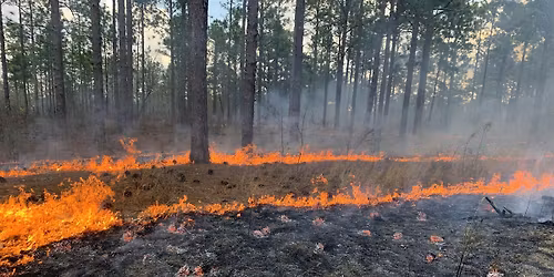 Prescribed Burn Planning Basics Workshop - Sumter
