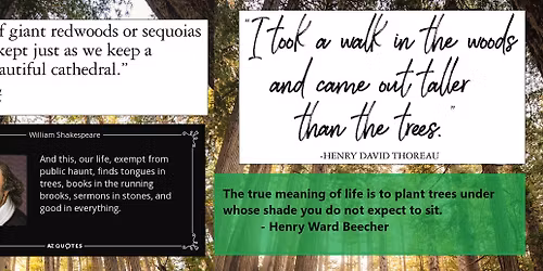 Earth Day Tree Giveaway