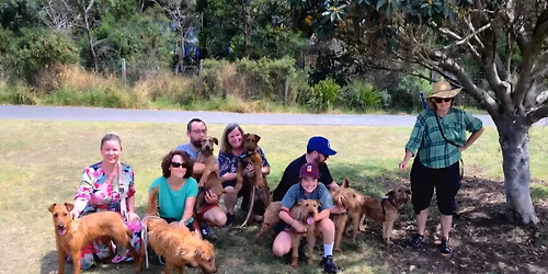Sydney IT Off-leash Gathering \ud83c\udf40\ud83d\udc15 #StPats