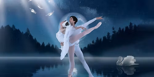 Schwanensee | Ballett mit Orchester