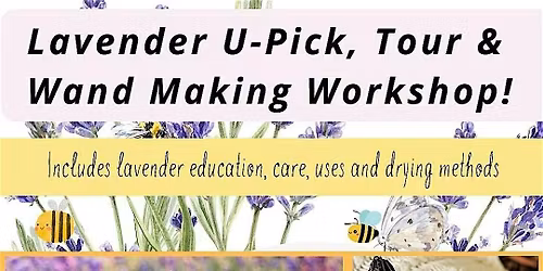 Lavender Days! 7\/10 U-Pick Lavender Tour, Education & Lavender Wand Making