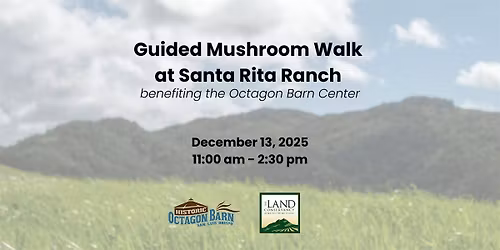 Guided Mushroom Walk at Santa Rita Ranch