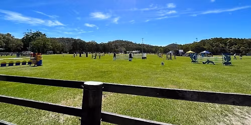 2026 Spring Showjumping Festival \ud83c\udf1f