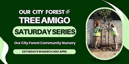 Tree Amigo Saturday Series: School Tree Planting