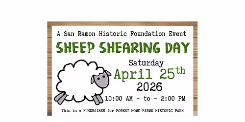 Sheep Shearing Day