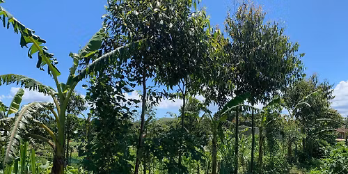 Food Forest Our Public Parks! A Community Design Workshop