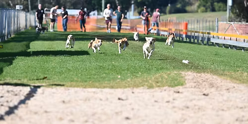 BCQ Lure Course Sprints