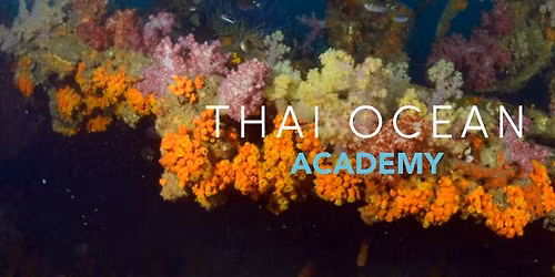 Koh Chang TOCO Trips