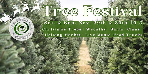 5th Annual Tree Festival