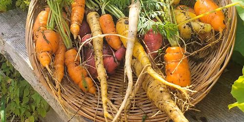 Sprout and Spark: \ud83c\udf72 Foraging, Growing, and marking Art in the Food Forest \ud83d\uddbc\ufe0f