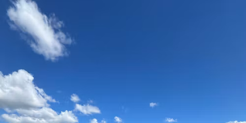 Lifts & Lagers - November 9, 2025