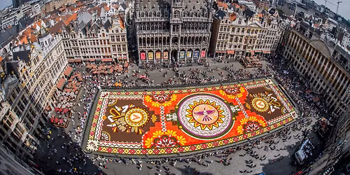 Bruxelles tapis de fleurs g\u00e9ant