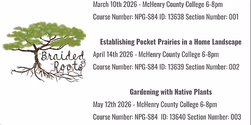 Establishing Pocket Prairies in a Home Landscape