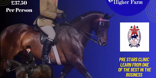 Jack Moore Showing Clinic (Indoors) Inhand & Ridden Sessions