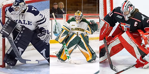 Parking RPI Engineers at Clarkson Golden Knights Womens Hockey