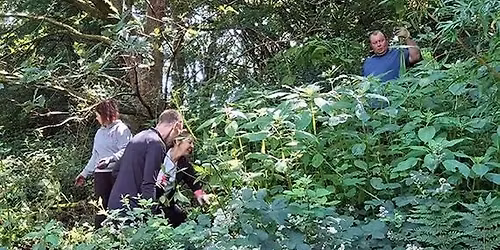 Himalayan Balsam Bash at Riverside - One