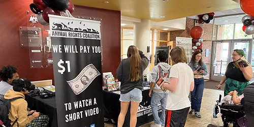 Augsburg Pay-Per-View Outreach