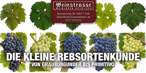 Weinverkostung 10.09.2026 "DIE KLEINE REBSORTENKUNDE"