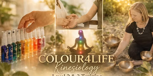 Colour 4 Life Kinesiology Level 2 & 3 (online & in person)