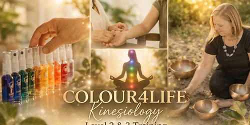 Colour 4 Life Kinesiology Level 2 & 3 (online & in person)