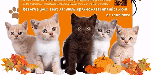 PAINT WITH KITTENS NIGHT - a fall fundraiser for friends of ferals, cat rescue inc.