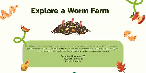 Explore a Worm Farm