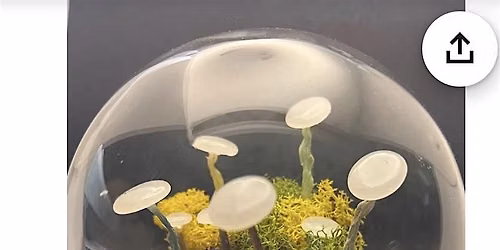 Mushroom Globe Making Workshop