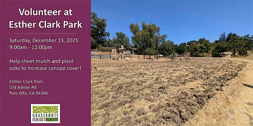 Volunteer Outdoors in Palo Alto: Tree Planting at Esther Clark Park