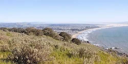 International Biodiversity Day at Pismo Preserve