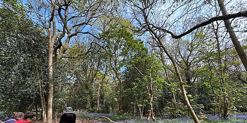 Forest Bathing for Wellbeing: mindfulness, breathing & nature connection