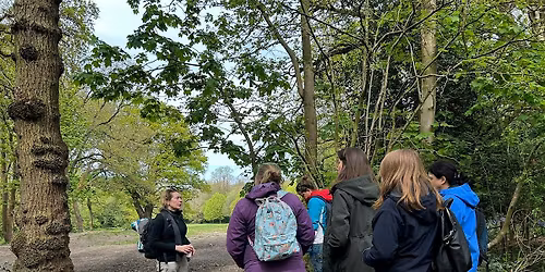Rest & Reconnect: A Forest\u2011Bathing and Mindfulness Based Session in Nature