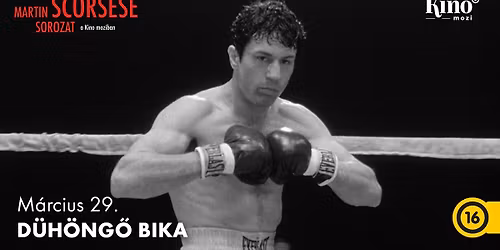 D\u00fch\u00f6ng\u0151 bika \u2502Martin Scorsese sorozat