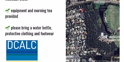 Sweet Pea Blitz - Quedjinmia Reserve, Dunsborough