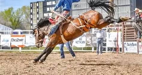 Park City PRCA Rodeo Tickets