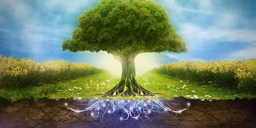 Constellations syst\u00e9miques et familiales