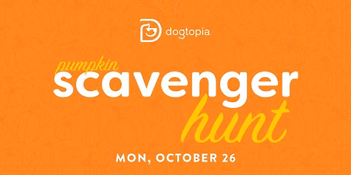 Pumpkin Scavenger Hunt!
