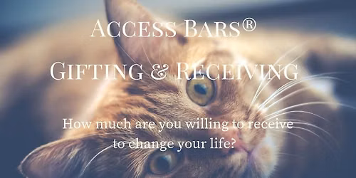Access Bars Gifting & Receiving