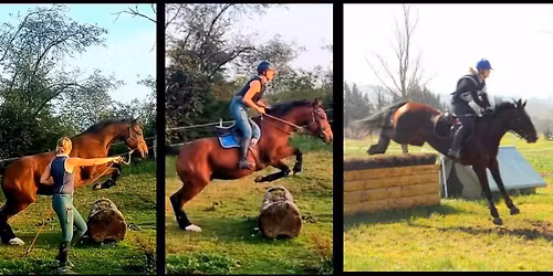 Stage cross - de l'Education \u00e0 l'Equitation 