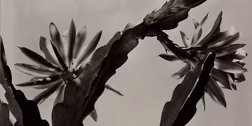 East Bay Art Yesterday: 100 Years of Bay Area Photography & Ceramics