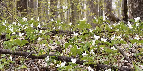 Annual General Meeting