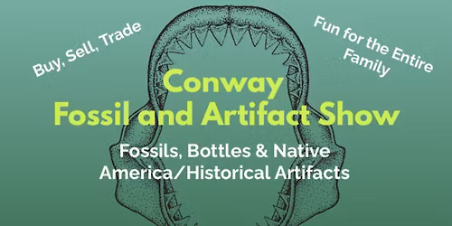 Conway Fossil & Artifact Show 2025
