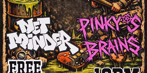 Wavy Awakening \/ Net Minder \/ Pinky's Brains
