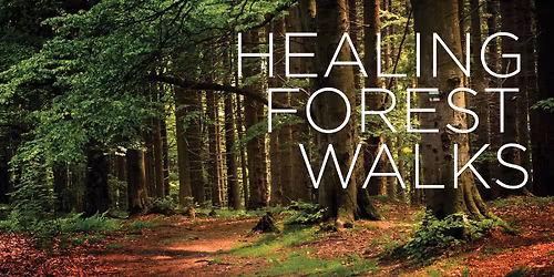 Healing Forest Walk - Nay Aug Park Trail