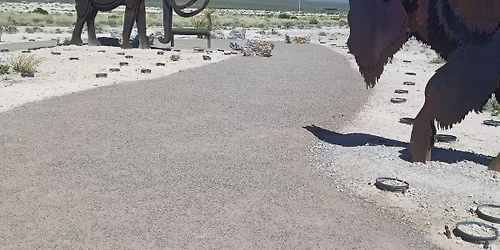 Megafauna Walk & Talk