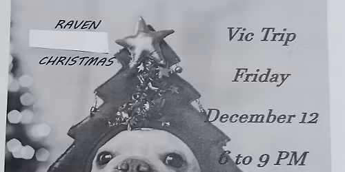 Vic Trip plays Raven Social