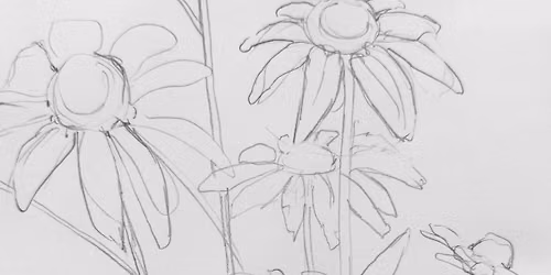 Kid's Art Class: Drawn to the Line- Learn how to draw contours