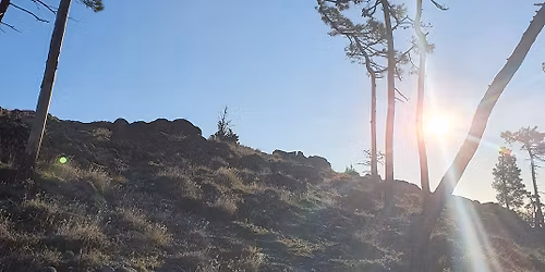 Le 3 Gobbe del Drago e Curzio