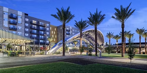 Yoga Flow at Novus Park