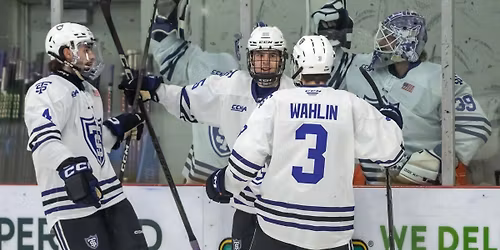 Ferris State Bulldogs at Augustana Vikings Mens Hockey