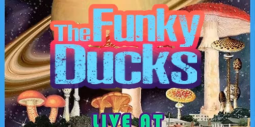 Colour Phase \/ The Funky Ducks @ Stanley's Pub